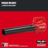 CRAFTSMAN 20V MAX* Axial Leaf Blower Kit (CMCBL700D1)(Tool Only)