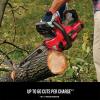 CRAFTSMAN Mini Chainsaw, 10 inch Mini Chainsaw Cordless, Electric Chain Saw, V20 Battery and Charger Included, Handheld Tree Trimmer Wood Cutter (CMCCS610D1)(4Ah Chainsaw Kit)