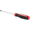CRAFTSMAN Screwdriver PH3 x 6 in. Phillips Head, Magnetic Tip (CMHT65156)