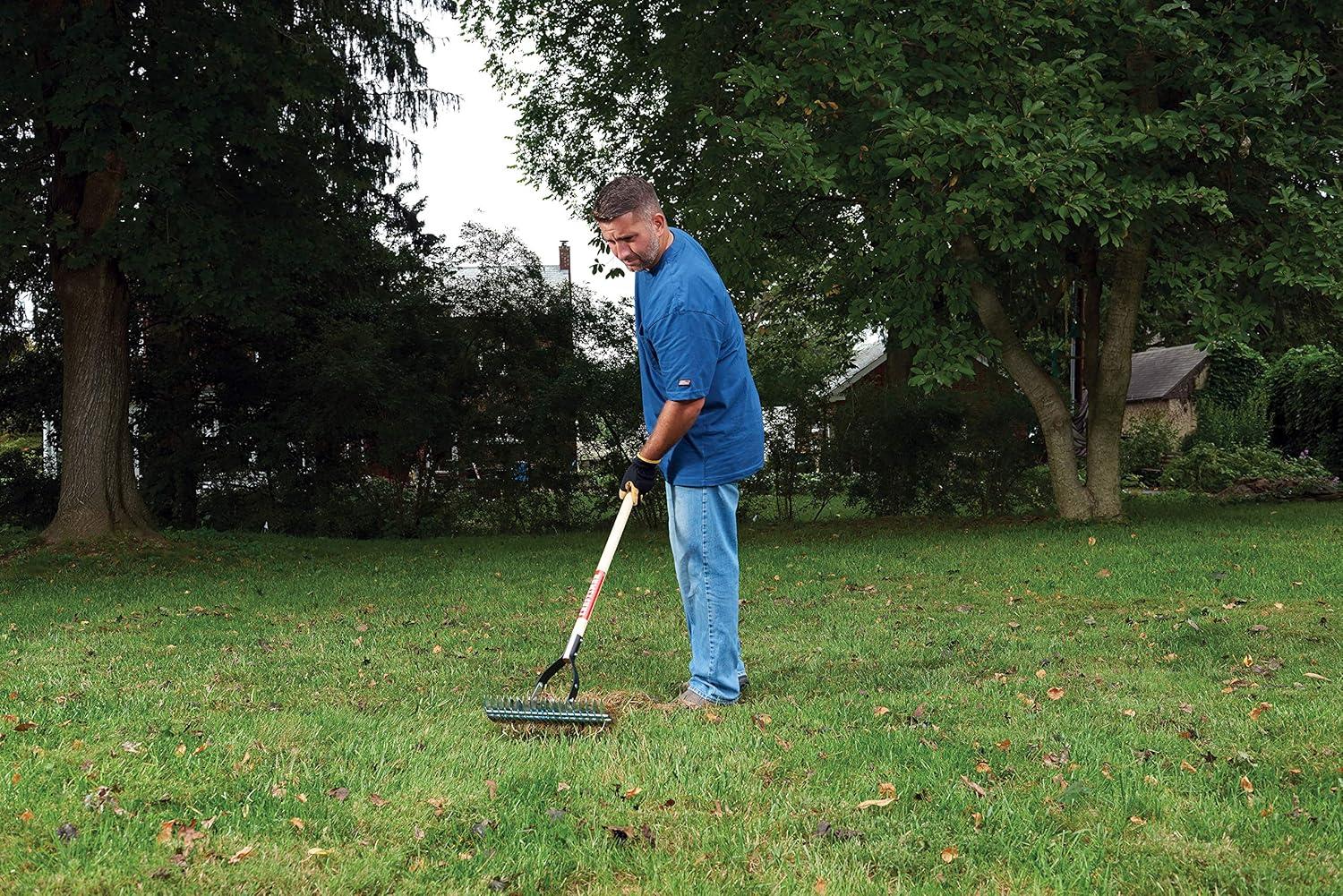 image:imageCRAFTSMAN 2Piece Raking Set with Lawn amp Thatching Rakes Wood Handles with Cushion Grips for Leaves Dethatching Dead Grass Cultivating
