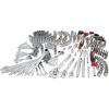 CRAFTSMAN Mechanics Tool Set, 298 Piece Hand Tool and Socket Set SAE/Metric (CMMT12139)(NEW 298 Piece Set)
