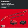 CRAFTSMAN V20 Cordless Pole Saw, 14-Foot, Battery and Charger Included, Pole Saws for Tree Trimming, Up to 325 Cuts per Charge, 4.0Ah, Electric Tree Trimmer (CMCCSP20M1)(Pole Saw Kit with 4Ah Battery)