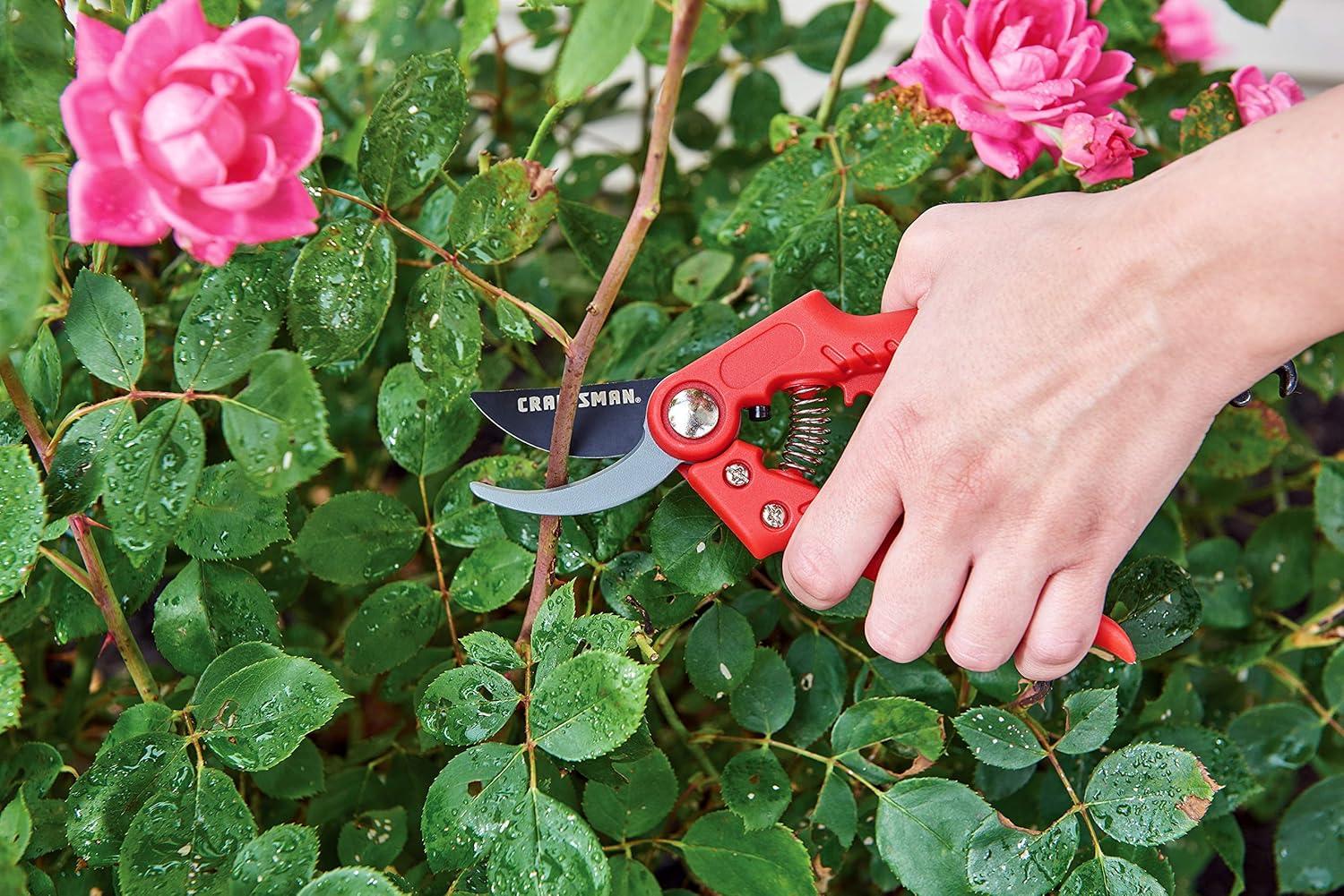image:imageCRAFTSMAN CMXMCBA0700 Bypass Pruning Shears Lightweight Steel BlackTree Shrub Pruning Set
