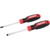 CRAFTSMAN 2 Pc Screwdriver Set, Phillips Screwdriver #2 and 1/4 In Flathead (CMHT65133)