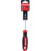 CRAFTSMAN Screwdriver PH2 x 4 in. Phillips Head, Magnetic Tip (CMHT65150)