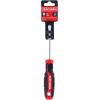 CRAFTSMAN Screwdriver SL1/4 in. x 4 in. Slotted, Magnetic Tip (CMHT65164)