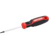 CRAFTSMAN Screwdriver T10 X 3 in. Magnetic Hold Tip, Precision (CMHT65174)