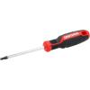 CRAFTSMAN Screwdriver T25 X 4 in. Magnetic Tip (CMHT65177)