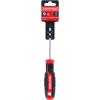 CRAFTSMAN Screwdriver T25 X 4 in. Magnetic Tip (CMHT65177)